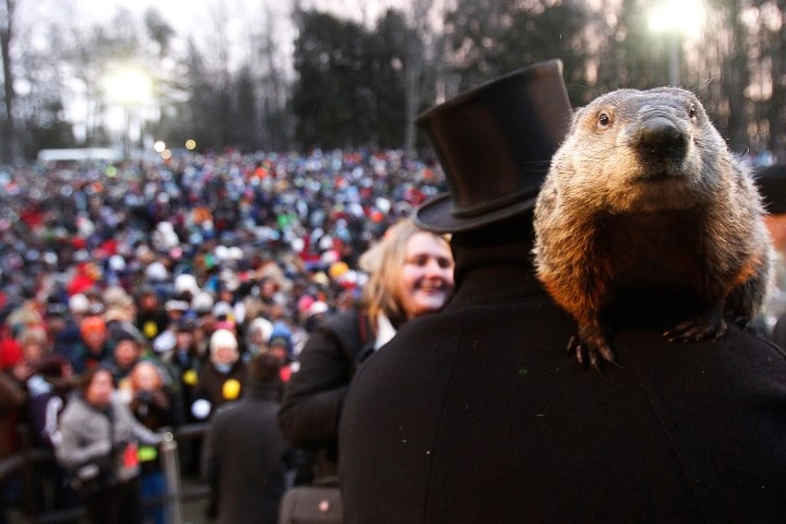 Punxsutawney Phil appears at Gobbler’s Knob during Groundhog Day 2026 ceremony in Pennsylvania