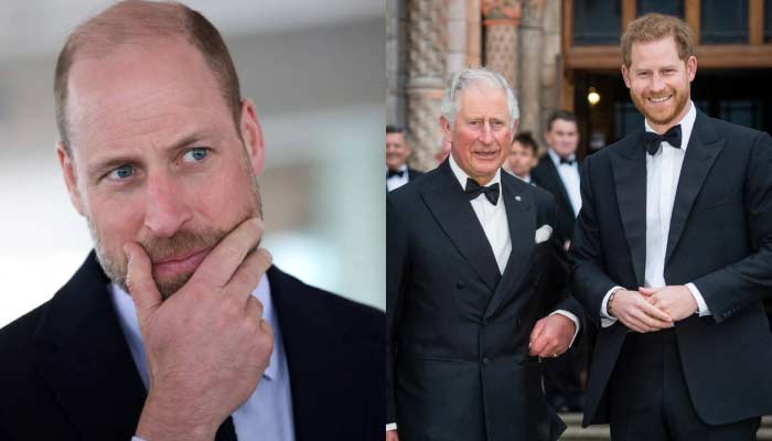 Prince William and Prince Harry amid warnings about a potential new royal rivalry involving their families.