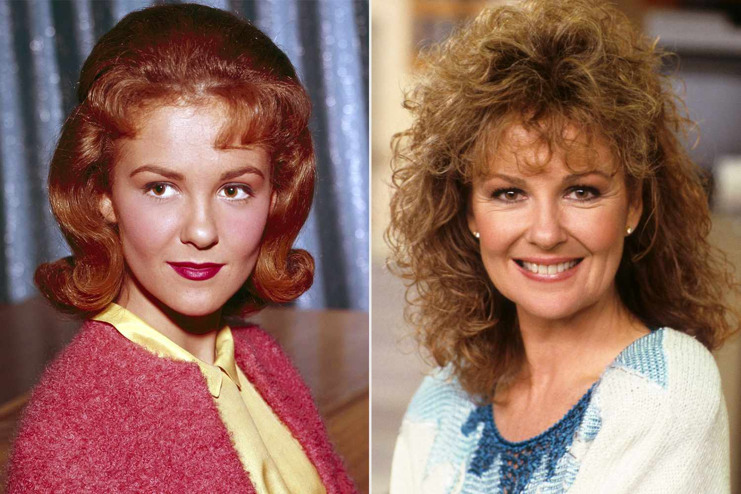 Portrait of Shelley Fabares, remembered for her iconic television roles.