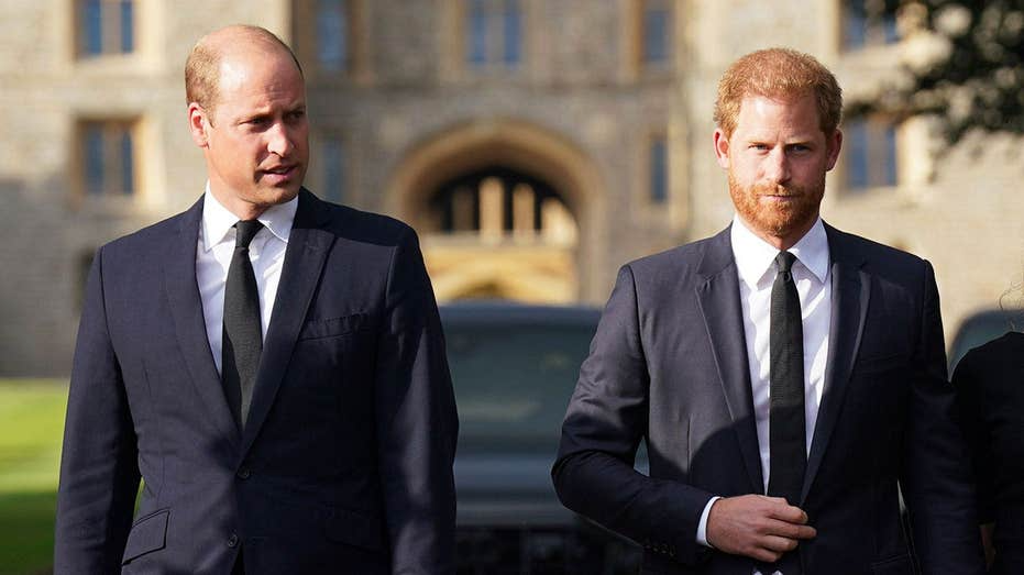 Prince William and Harry amid reports of ongoing family tensions ahead of Princess Diana’s 30th anniversary